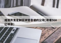 湘潭开发定制区块链靠谱的公司[湘潭560亿项目]